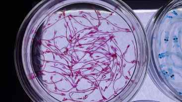 round clear glass plate